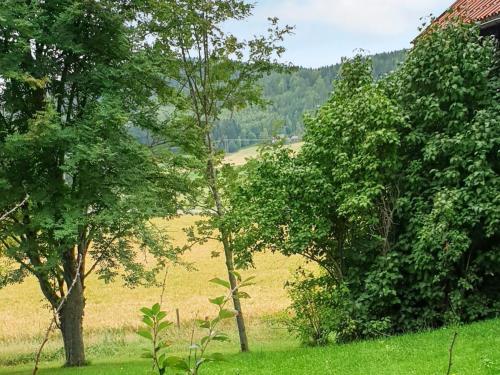 a group of trees in a field of grass at 4 person holiday home in J RVS in Järvsö