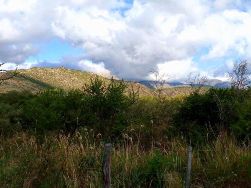 a grassy hill with trees and a fence in a field at Monte Sion cabañas & relax in San Javier