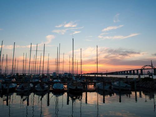 un groupe de bateaux amarrés dans un port au coucher du soleil dans l'établissement 6 person holiday home in Rudk bing, à Rudkøbing