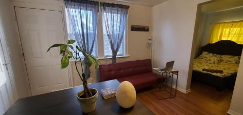 a living room with a red couch and a potted plant at Cozy 1 bedroom, 1 min from Irving Park Blue line, free parking in Chicago