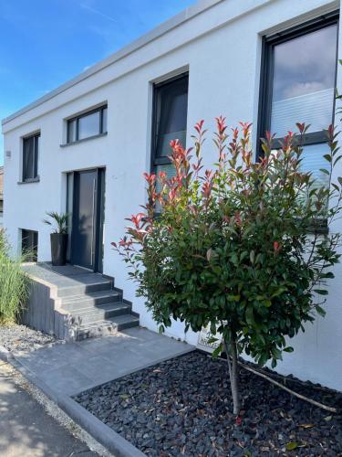 Foto Gemütliche Villa am Waldrand in Taunusstein 1