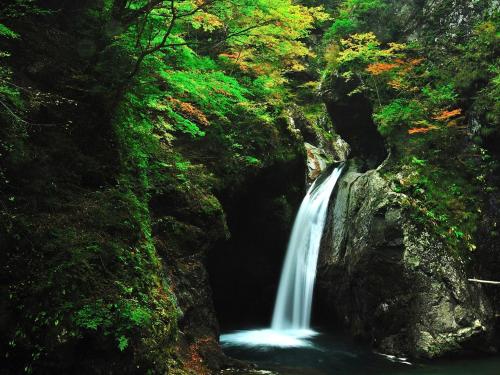 a waterfall in the middle of a forest at momijigawa onsen in Naka