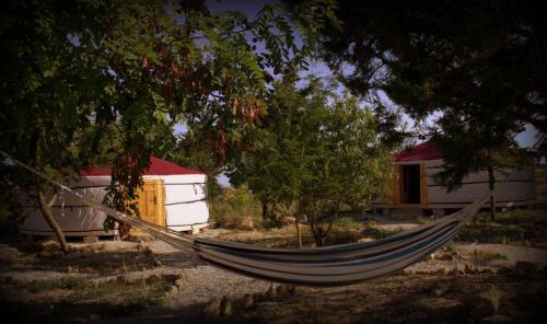 Κήπος έξω από το Campo de Reyes