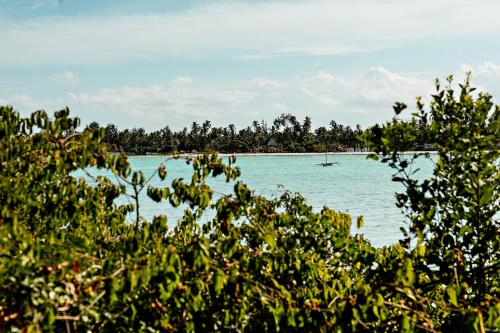 a view of a beach with trees in the foreground at The Island - Pongwe Lodge in Pongwe