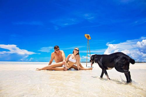 a man and a woman sitting on a beach with a dog at The Island - Pongwe Lodge in Pongwe