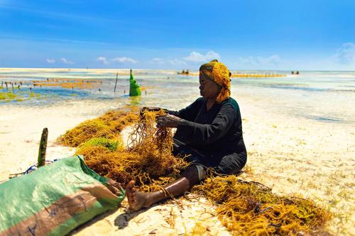 a woman sitting on a beach with a pile of nets at The Island - Pongwe Lodge in Pongwe