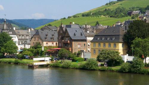 a town next to a river with a town at Hotel Vier Löwen in Traben-Trarbach