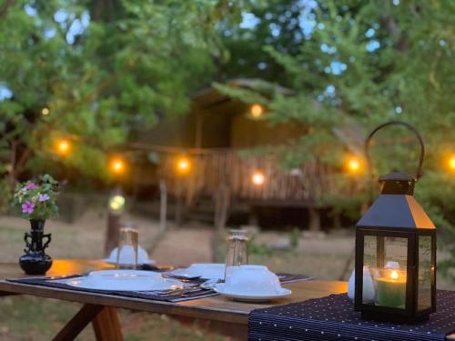 Zahrada ubytování Camp Leopard - Yala Safari Glamping