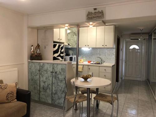 Η κουζίνα ή μικρή κουζίνα στο VILLA ELENA 5*****