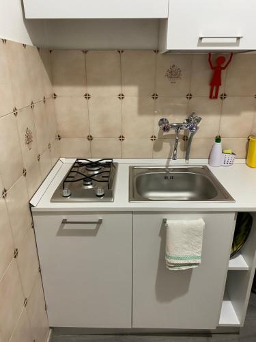 a small kitchen with a stove and a sink at Casale City in Casale Monferrato