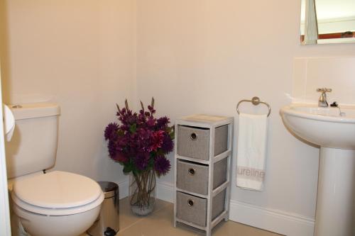 a bathroom with a toilet and a sink and flowers at Cosy Holidayhomes Kenmare in Kenmare