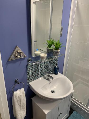 a bathroom with a white sink and a shower at Headland View. Luxury. Harbour-Front. With Parking in Falmouth