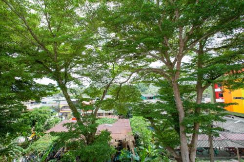 a view of a city with trees and buildings at Tree Home ที่พักเบตงสไตล์ครอบครัว in Ban Komo Sip Paet