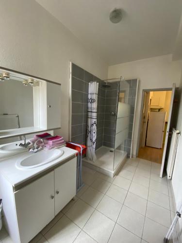 une salle de bain avec un lavabo, une douche et un miroir dans l'établissement residence la Source, à Lamalou-les-Bains