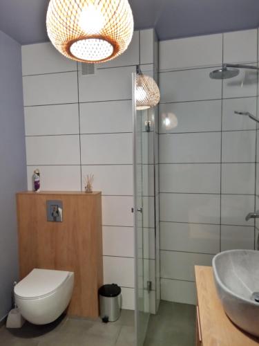 a bathroom with a toilet and a sink at Apartament Zoja in Elblag
