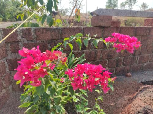 a bunch of pink flowers next to a brick wall at Redstone Hills, Diveagar in Diveagar