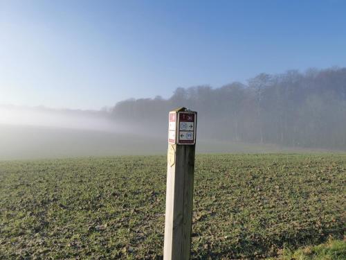 a pole in the middle of a field at De Groene Hoeve in Brakel
