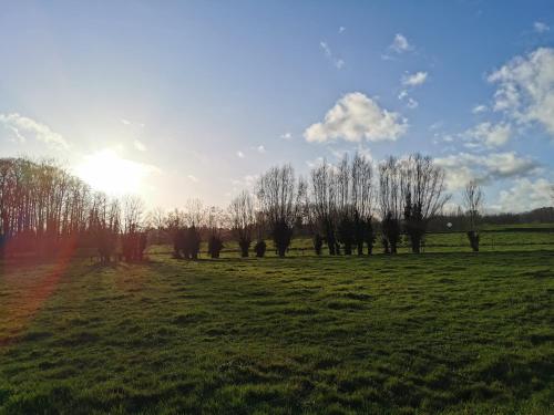 a field with trees and the sun in the sky at De Groene Hoeve in Brakel