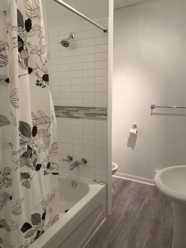 Gestion clin d Oeil 349 – Photos 3