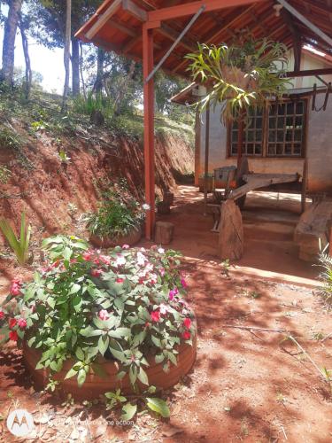 a garden with flowers in a pot in front of a building at Chalés do Apolinário in Tiradentes