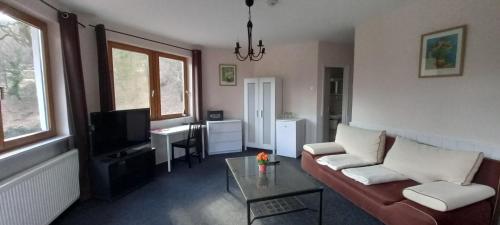 a living room with a couch and a table at Hotel Síkfőkút in Noszvaj
