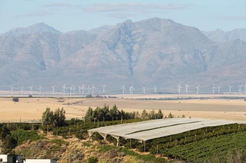 a row of windmills in a field with mountains at Lekkerberg in Riebeek-Kasteel