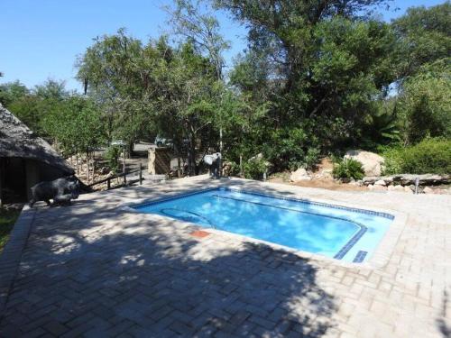 a swimming pool with a dog sitting next to it at Balule Bushveld Safari Lodge in Phalaborwa