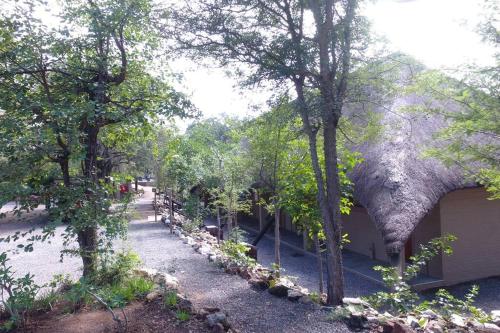 a path through a forest of trees next to a building at Balule Bushveld Safari Lodge in Phalaborwa