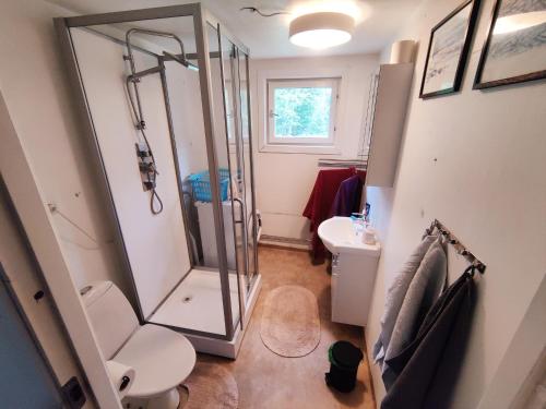 La salle de bains est pourvue d'une douche, de toilettes et d'un lavabo. dans l'établissement Peaceful nature retreat, à Björnlunda