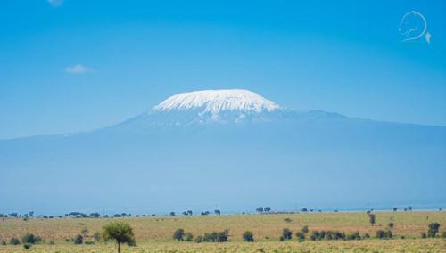 a mountain in the middle of a field at Amanya Double Pitch Tent with Mt Kilimanjaro View in Amboseli
