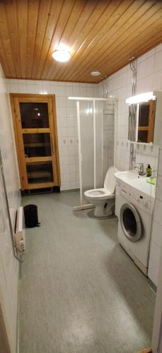 a bathroom with a washing machine and a toilet at City center apartment with sauna, Rovakatu 13 in Rovaniemi