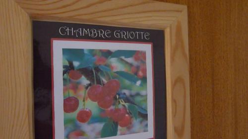 une photo d'un arbre avec des cerises rouges sur lui dans l'établissement Le bosquet fruité chambres d'hôtes en Provence Occitane, à Bagnols-sur-Cèze