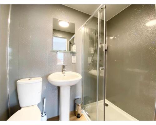 a bathroom with a toilet and a sink and a shower at The Bitterne Park in Southampton