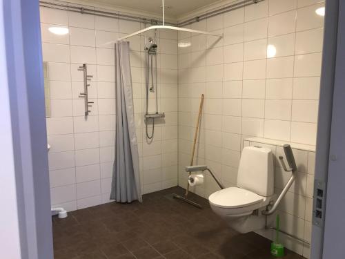a bathroom with a toilet and a shower at Åsens Vandrarhem Uvboet in Älvdalen