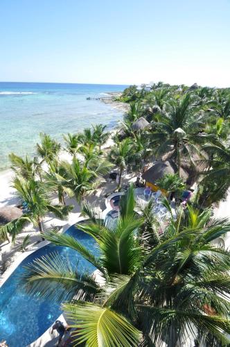 an aerial view of a resort with palm trees and the ocean at Del Sol Beachfront in Akumal