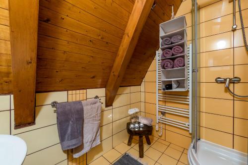 a bathroom with a shower and a toilet and a sink at Holiday home Riverside in Delnice