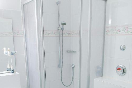a shower with a glass door in a bathroom at Seehof Seehof 23 in Bansin