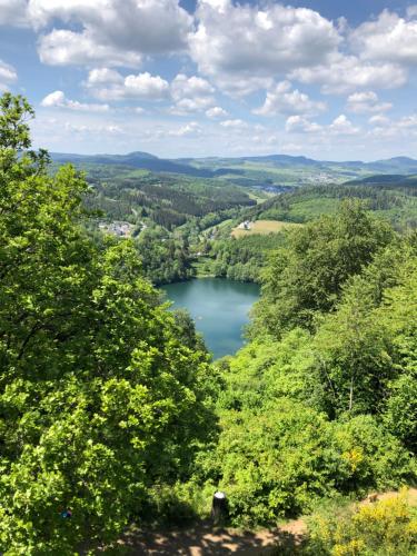 a view of a lake from a hill at Ferienwohnung Die Alte Schule in Daun