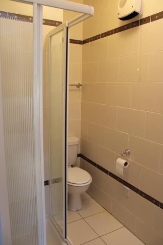a bathroom with a toilet and a glass shower at Cosy Holidayhomes Kerry in Kenmare