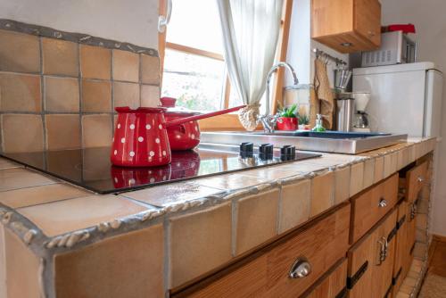 a kitchen counter top with a red pot on it at Country House Trata in Kranjska Gora