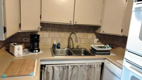 a kitchen with a sink and a counter top at Farmhouse attached apartment in Old Mill Creek