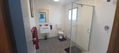 ラロトンガ島にあるTropical Retreat Rarotongaのバスルーム(ガラス張りのシャワー、トイレ付)