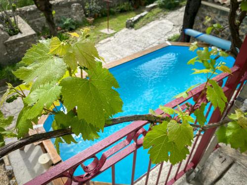 un banc rouge avec une piscine bleue dans l'établissement Mas Bourdaric - Location de Gites en Ardeche du Sud, à Saint-André-de-Cruzières