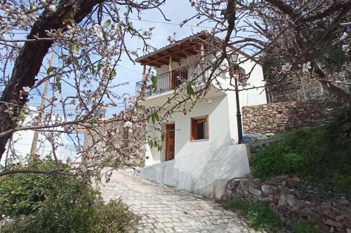 una casa blanca en una colina con una pasarela de piedra en Stefanis traditional house - Kampos, en Kámbos