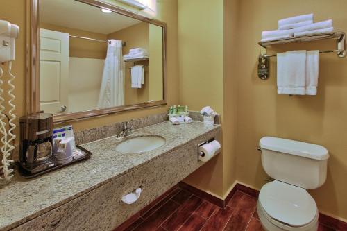 La salle de bains est pourvue de toilettes, d'un lavabo et d'un miroir. dans l'établissement Holiday Inn Express Hotel & Suites Houston-Downtown Convention Center, an IHG Hotel, à Houston