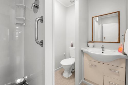 a bathroom with a sink and a toilet and a mirror at Te Aroha Motel in Te Aroha