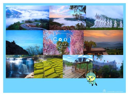 un collage de photos avec les mots Google dans l'établissement Pupiang po Da Arte Resort, à Dan Sai