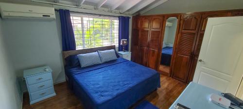 a small bedroom with a blue bed and a window at Cheerful 2 - Bedroom Townhouse with free parking in New Kingston in Kingston