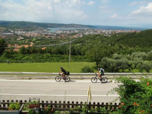 Rowery dostępne w obiekcie Bellavista Trieste lub w pobliżu