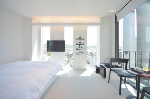 TV a/nebo společenská místnost v ubytování Carta Hotel Kyoto Gion